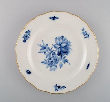 Antique Meissen Porcelain Plates with Hand-Painted Flowers ...