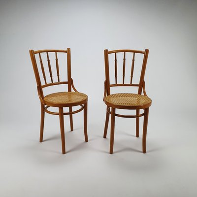 Bentwood wicker chairs sales