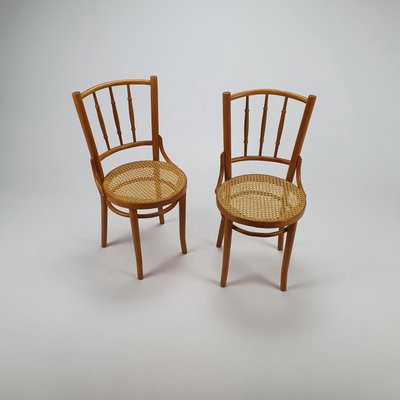 Romanian Cane and Birch Bentwood Chairs 1960s Set of 2