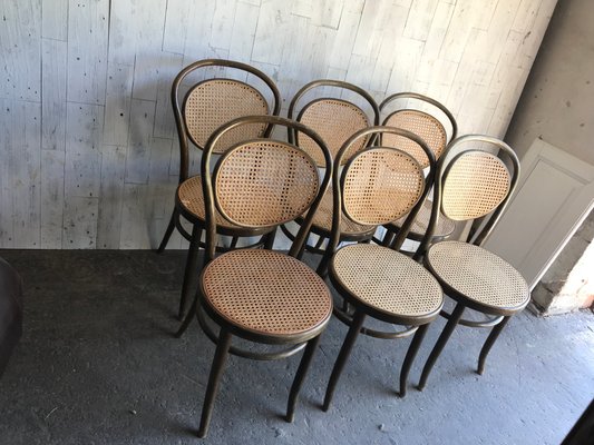 Cane chairs set store