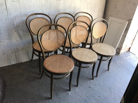 Cane cafe chairs new arrivals