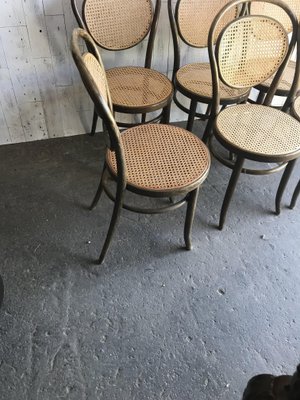 Vintage cane back chairs for sale new arrivals