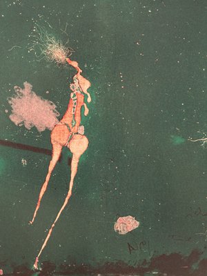 Paul Wunderlich, Original Lithographie bei Pamono kaufen