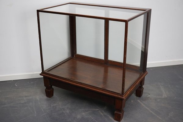 Mahogany Museum Shop Display Cabinet Early 20th Century