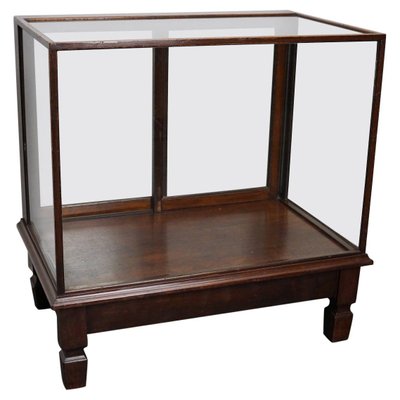 Mahogany Museum Shop Display Cabinet Early 20th Century