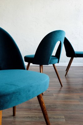 Czechoslovak Blue Velvet Dining Chairs, Indigo Blue Velvet Dining Chairs