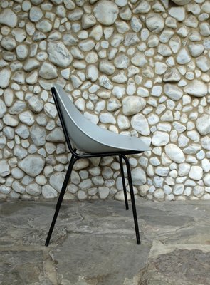 Gray Coquillage Chair by Pierre Guariche for Meurop, 1960s