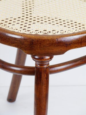 Thonet 20 store