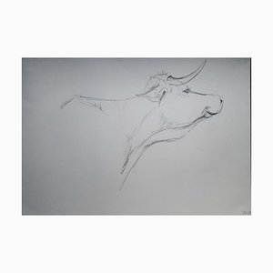 Chroessi Schnell, Cows VI, Dibujo, 2007-2010