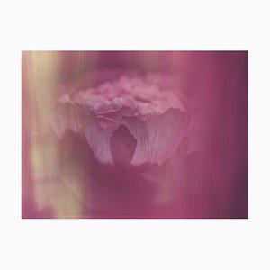 Anna Golovanova, Flower Pink, Digital Photographic Art, 2020