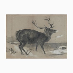 Peinture au Fusain Moose par Richard Cockle Lucas, 1878