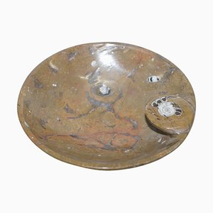 Moroccan Decorative Ammonite Fossil Bowl in Marble Finish, Atlas Mountains