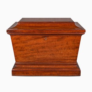 Large Regency English Sarcophagus Cellarette or Wine Cooler in Mahogany