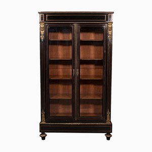 Tall Antique English Regency Display Cabinet or Bookcase, 1830s