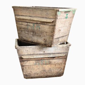 Trug à Champagne Antique, France