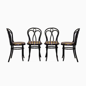 Sedie di Thonet, anni '50, set di 4