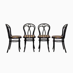 Stühle von Thonet, 1950er, 4er Set