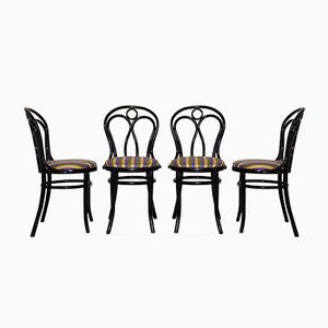 Chairs from Thonet, 1950s, Set of 4