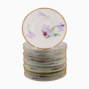 Antike einzigartige Royal Copenhagen Porzellanteller mit Irisblumen, 12er Set