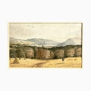Caccia di cani della foresta, XIX secolo, acquerello