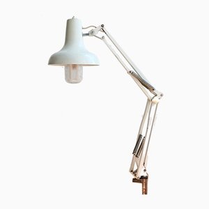 Lámpara de escritorio articulada Anglepoise industrial Mid-Century de metal blanco, años 70