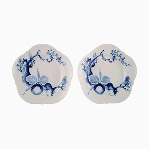 Bowls in Hand Painted Porcelain with Orchids by Prof. Heinz Werner for Meissen, Set of 2