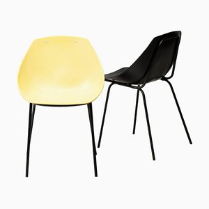Shell Chairs by Pierre Guariche, Set of 2