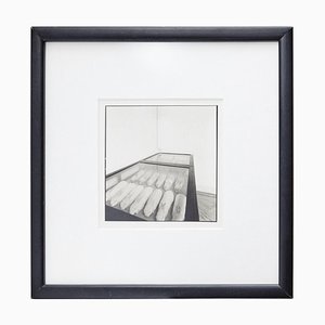 Fotografía Conills de Mendel de Joan Fontcuberta