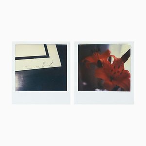 Set of Polaroid Photographs by Miquel Arnal