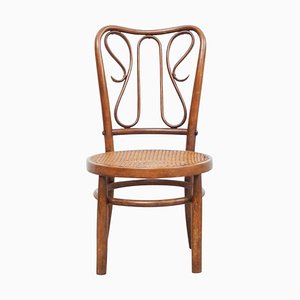 Bugholz Stuhl aus Rattan und Holz, 1940er