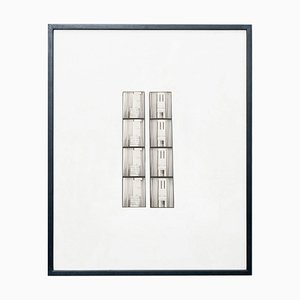 Fotografia di luce contemporanea, 2019
