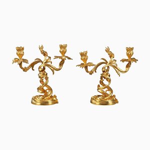 Chandeliers en Bronze doré de Style Louis XV, 19ème Siècle, Set de 2