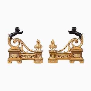 19th Century Gilt and Patinated Bronze Andirons, Set of 2