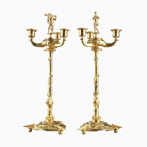 Ormolu Candelabra Stands in the Style of Auguste Nicolas Cain, Set of 2