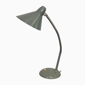 Lámpara de mesa cuello de ganso industrial en gris de Hala, años 60
