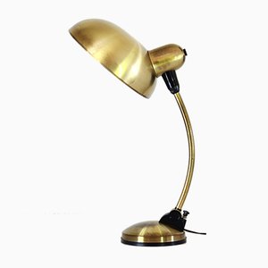 Desk Lamp with Flexible Brass Structure, 1950s