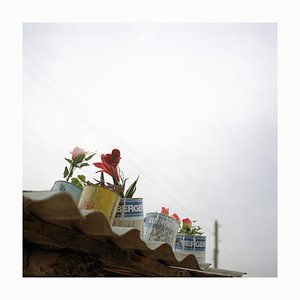 Caroline Irby, Untitled (Tajikistan), 2007, Digital C-Type Print