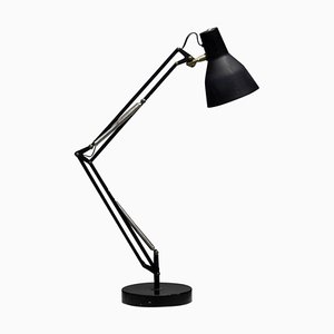 Lampe de Bureau de Hala