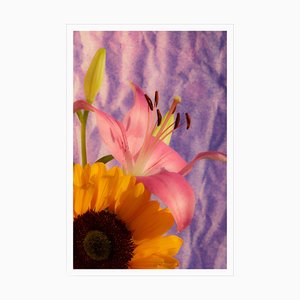 Kind of Cyan, Sunflower Lily, 2021, Impression Giclée sur Papier Photographique