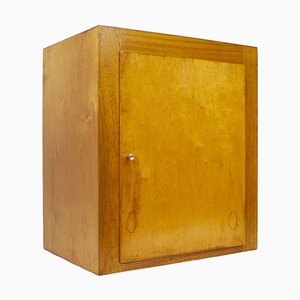Vintage Ply Cabinet from B Linden, 1960s