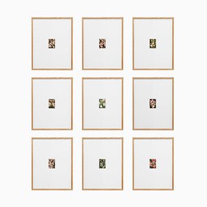 David Urbano, The Rose Garden, 2017, Giclée Prints on Hahnemüler Paper, Framed, Set of 9