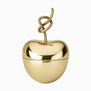 Knotted Cherry Medium Box in Brass by Nika Zupanc