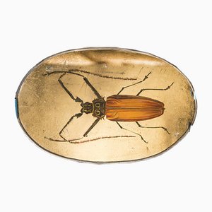 Caramel Beetle