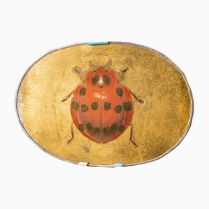 Mirror Ladybug Decorative Object from Unique Mirrors