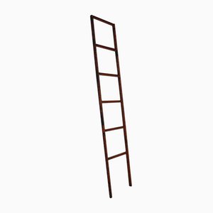 Industrial Ladder in Colored Iron