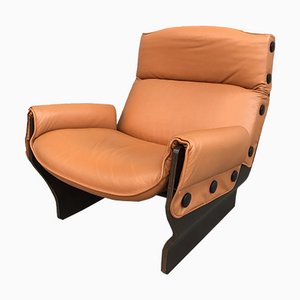 Mod. Canada P 110 Stuhl von Osvaldo Borsani für Tecno