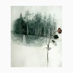 Leszek Rózga ,March Landscape with a Rose, 1987, Etching on Paper