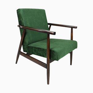 Green Chameleon Easy Chair, 1970s
