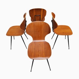 Geschwungene Stühle aus Schichtholz von Carlo Ratti, 1950er, 4er Set