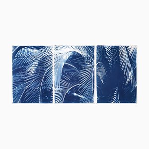 Kind of Cyan, Shady Majesty Palm Leaves, 2021, Cyanotype
